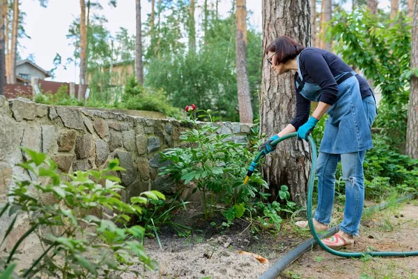 Woman watering plants in a flower bed in the backyard using a hose. — Stock Photo, Image