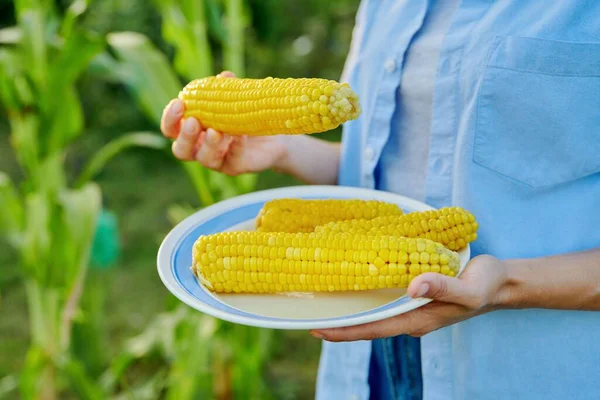 Fresh boiled sweet corn in plate in womans hands close-up — Stock Photo, Image