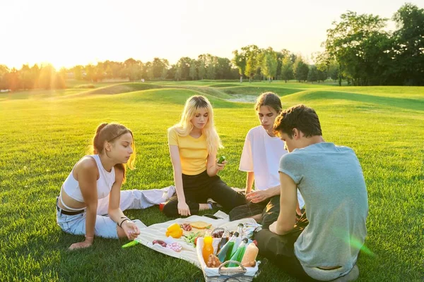 Teenageři se baví na pikniku v parku na trávníku — Stock fotografie