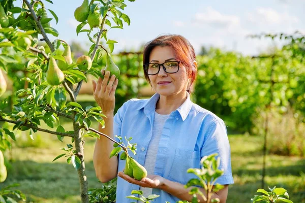 Armut ağacının yanında, meyve bahçesinde çapraz kollu, kendinden emin orta yaşlı bir kadının portresi.