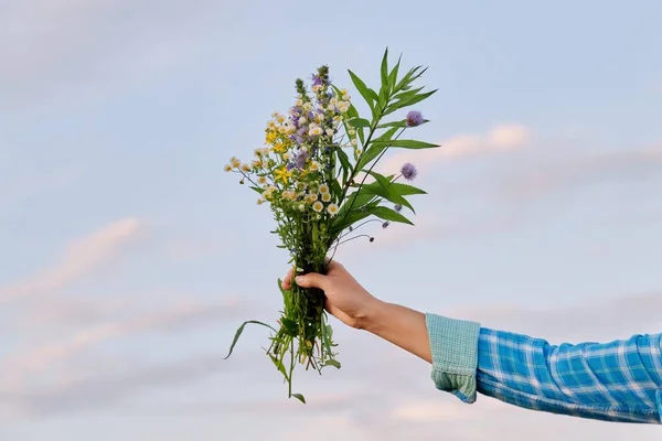 Mujeres mano con ramo de flores silvestres, cielo en el fondo de nubes — Foto de Stock