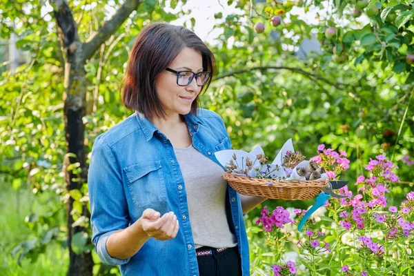 夏天花园里的女人，她把采摘的干花放在篮子里，播种 — 图库照片