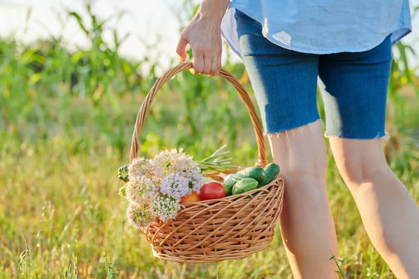 Zavřít košík s čerstvou zralou zeleninou v ženských rukou, farma zahrada pozadí — Stock fotografie