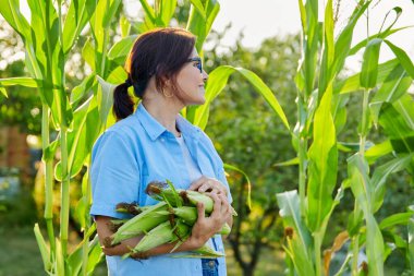 Ellerinde mısır koçanı olan bir kadın.
