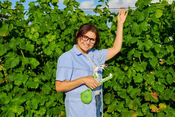 Vrouwelijke boer met koppelstuk nietmachine gereedschap in wijngaard. — Stockfoto