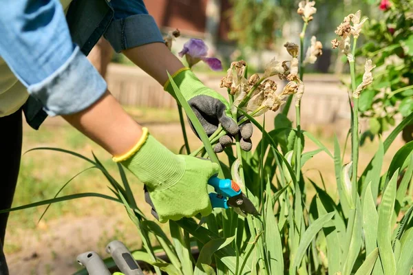 Pendekatan tangan wanita dalam sarung tangan merawat tempat tidur bunga di halaman belakang menggunakan alat-alat, gunting taman — Stok Foto