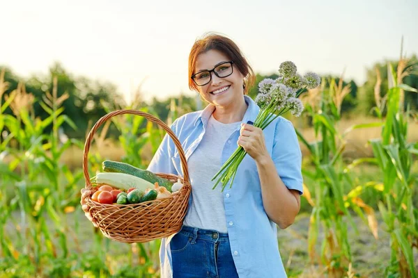 Wanita paruh baya dengan keranjang sayuran organik segar di kebun, pertanian — Stok Foto