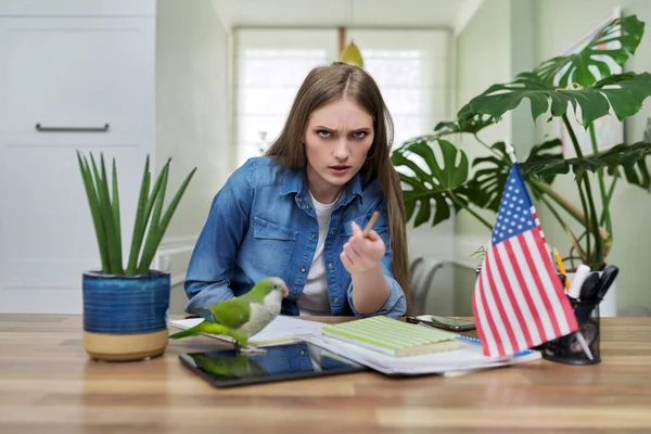 Mladá studentka dívající se do kamery, vlajka USA na stole. — Stock fotografie
