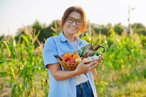 Wanita paruh baya dengan keranjang sayuran organik segar di kebun, pertanian — Stok Foto