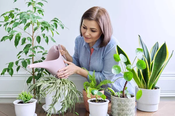 Woman caring for houseplants in pots, watering plants from watering can — Stock Photo, Image