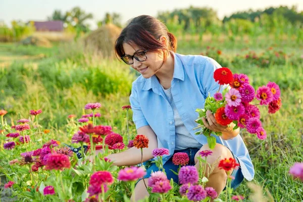 中年妇女，带着花园剪子采摘紫杉花束 — 图库照片