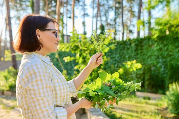 Vrouw met tak van verse rozemarijn in haar handen, buiten in de tuin — Stockfoto