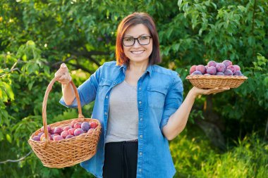 Orta yaşlı bir kadın sepetinde olgun erik hasadıyla kameraya bakıyor.