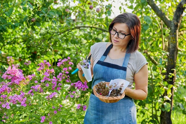 Vrouw in de zomer tuin met verzamelde gedroogde bloemen plant zaden in mand — Stockfoto