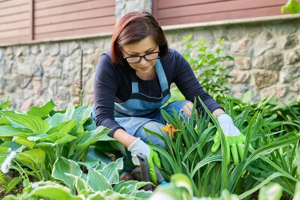 Tuinieren, bloembedden, vrouwelijke tuinier werkend met planten in de tuin — Stockfoto