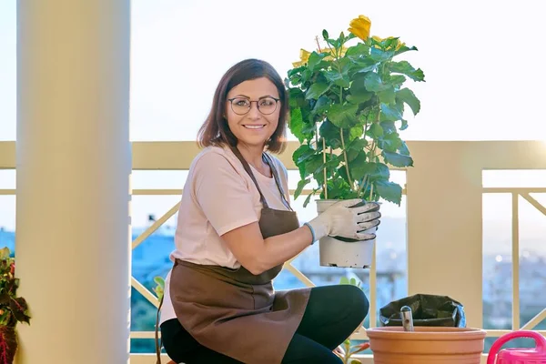 Женщина сажает уход за домашним растением в горшке, на террасе — стоковое фото