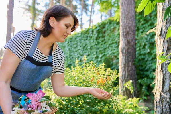 Mulher em avental tendendo quintal canteiros de flores regozijando-se na planta de lírio florescendo — Fotografia de Stock