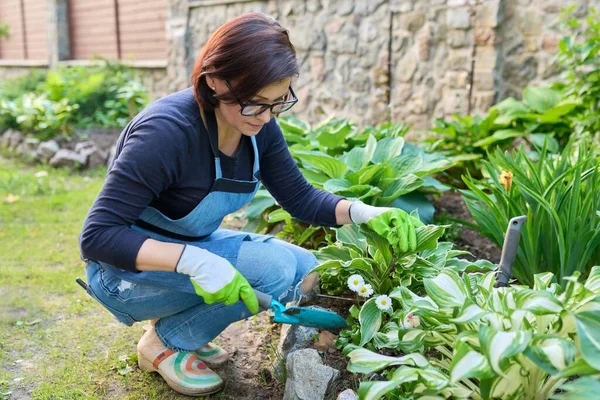 Zahradničení, záhony, zahradnice pracující s rostlinami v zahradě — Stock fotografie