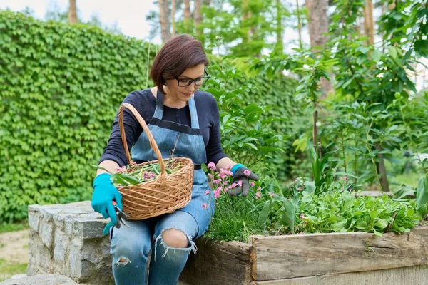 Portret van een vrouw van middelbare leeftijd die in de tuin voor een bloembed zorgt — Stockfoto