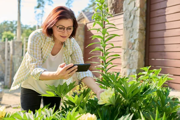 Γυναίκα ξεκουράζεται στον κήπο άνοιξη, φωτογράφηση σε ανθοφόρο θάμνο smartphone του κίτρινου παιώνια — Φωτογραφία Αρχείου