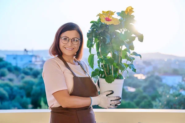 Vrouw die een huisplant plant in een pot, op het terras — Stockfoto