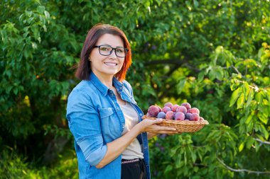 Orta yaşlı bir kadın sepetinde olgun erik hasadıyla kameraya bakıyor.