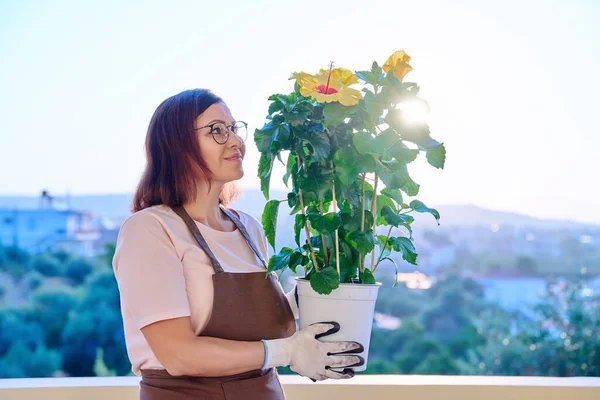 Vrouw die een huisplant plant in een pot, op het terras — Stockfoto