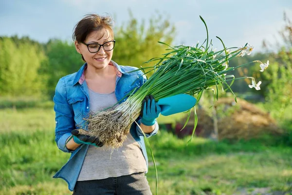 Bahar geldi, bahçe eldivenli kadın elinde vahşi beyaz narsisli bitkiler tutuyor. — Stok fotoğraf