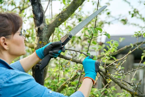 Vrouw tuinier in handschoenen met tuin zagen het omzagen van een droge tak op een appelboom met — Stockfoto