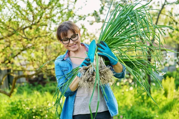 Spring time, woman in gardening gloves holding wild white narcissus plants — Stok Foto