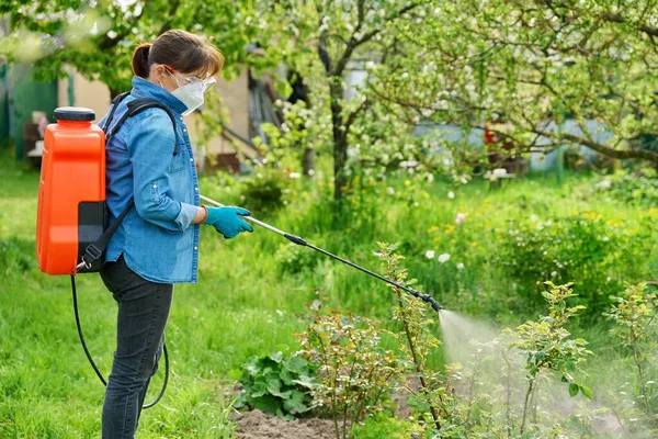 背负式花园喷枪的女人在压力下处理灌木玫瑰 — 图库照片
