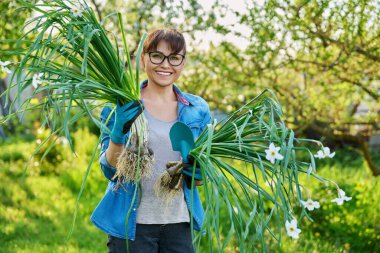 Beyaz nergis çalısı ve kürekle bahçe eldivenleri giymiş bir kadın kameraya bakıyor.