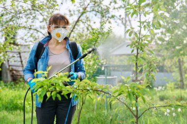 Woman with backpack garden spray gun under pressure handling pear fruit trees clipart