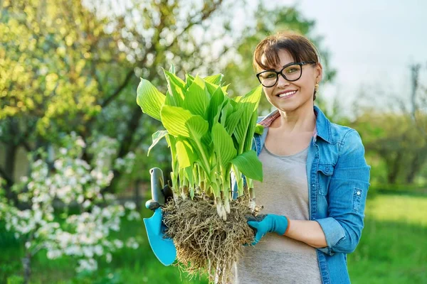 Cantik setengah baya wanita dengan berakar tanaman hosta melihat kamera — Stok Foto