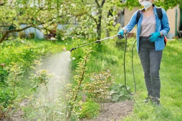 Woman with backpack garden spray gun under pressure handling bushes roses — Stock Photo, Image