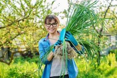 Beyaz nergis çalısı ve kürekle bahçe eldivenleri giymiş bir kadın bahar bahçesinde kameraya bakıyor. Bölmek ve dikmek için bitkisi olan bir dişi. Peyzaj, iş, ilkbahar konsepti