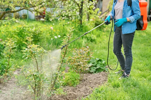 Lente Zomer Werk Tuin Achtertuin Vrouw Met Rugzak Tuin Spuitpistool — Stockfoto