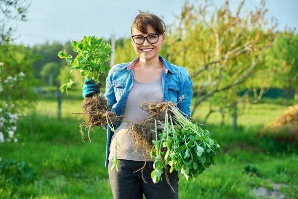 Indah Tersenyum Pertengahan Wanita Dengan Berakar Sedum Tanaman Melihat Kamera — Stok Foto