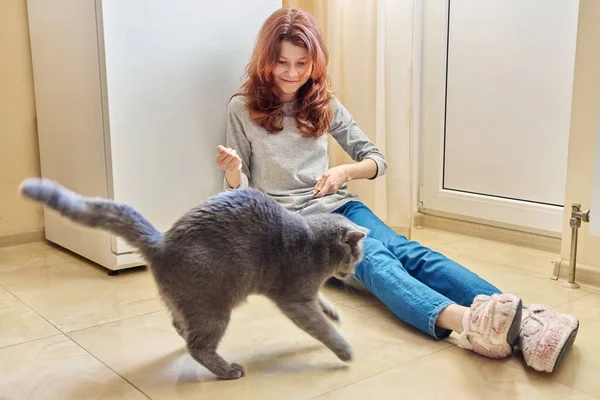 Teenage girl playing with a cat at home, sitting on the floor with a cat toy, playing gray young british cat