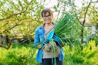 Beyaz nergis çalısı ve kürekle bahçe eldivenleri giymiş bir kadın bahar bahçesinde kameraya bakıyor. Bölmek ve dikmek için bitkisi olan bir dişi. Peyzaj, iş, ilkbahar konsepti