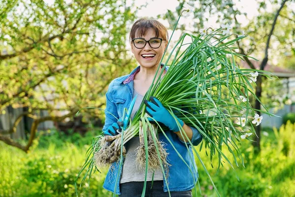 Beyaz nergis çalısı ve kürekle bahçe eldivenleri giymiş bir kadın bahar bahçesinde kameraya bakıyor. Bölmek ve dikmek için bitkisi olan bir dişi. Peyzaj, iş, ilkbahar konsepti
