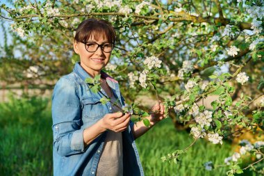 Çiçek açan bahçede orta yaşlı güzel bir kadın, fotokopi odası. Kameraya bakan mutlu bir kadın, çiçekli bir elma ağacı. 45 yaşındaki kadın portresi, doğa, güzellik, bahar, insan konsepti.
