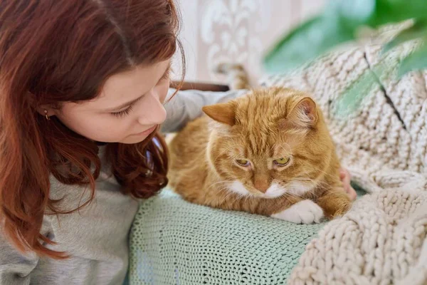 Preteen girl hugging cat with love, face close up. Home pet old ginger cat with young owner together. Animals, love, friendship, children, lifestyle concept