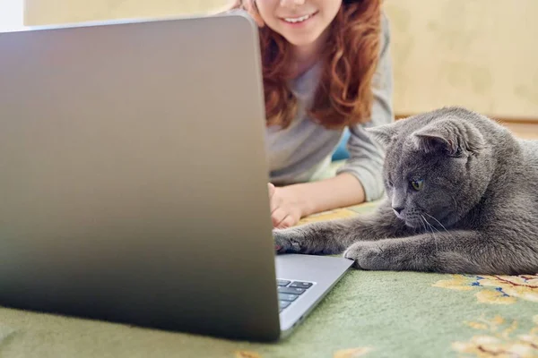 Ятнадцять Дівчат Навушниках Сірий Британський Кіт Дивлячись Ноутбук Разом Лежачи — стокове фото