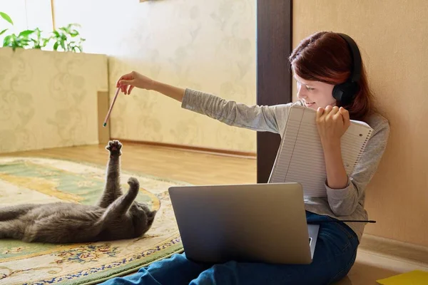 Preteen girl studying at home using laptop along with cat. Child in headphones sits on floor with notebooks, pet plays lies with young owner. Animals, friendship, children, lifestyle, study, school