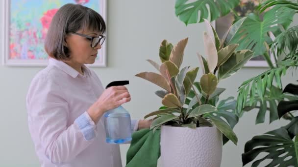 Woman Spraying Potted Plants Water Spray Bottle Female Caring Indoor — Stockvideo