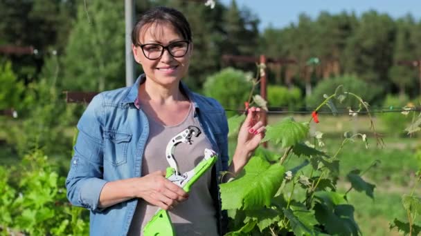 Woman Farmer Making Garter Vine Bushes Vineyard Using Professional Equipment — Stockvideo