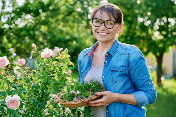 Woman Caring Rose Bush Flowerbed Garden Removing Dry Faded Flowers — 图库照片