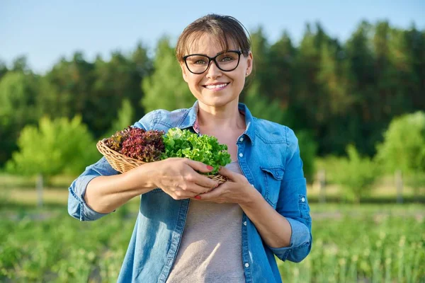 一个面带微笑的成熟女人的画像 用红色和绿色的莴苣叶子在柳条箱里看着相机 天然有机食品 园艺蔬菜和香草种植 — 图库照片