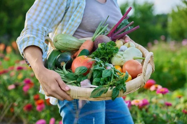Menutup Keranjang Dari Berbagai Sayuran Organik Segar Tangan Petani Wanita — Stok Foto
